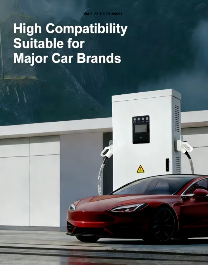 Ev Charging Pile - Зарядная станция для электромобилей (NEV), 240